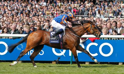 Luxury Network Members Create Joint Royal Ascot Racing Day Promotion